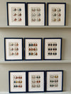 Fifteen French heraldic flags framed in royal blue