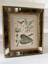 Pair of mirrored cushion-framed French botanical etchings