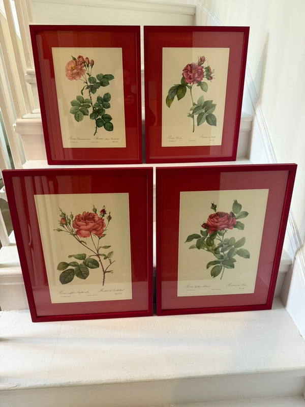Four Redoute roses in red frames