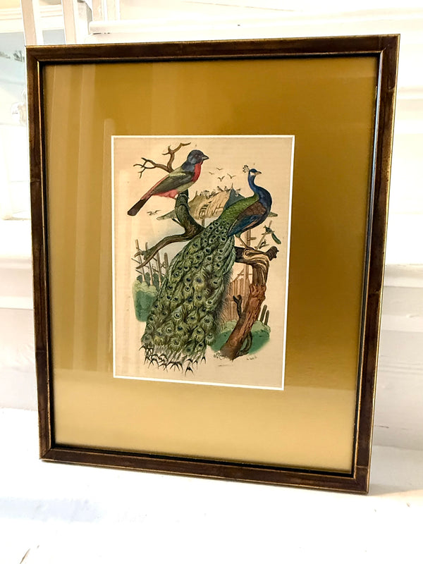 Peacock and palm tree