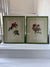 Two Redouté roses in Green Frames