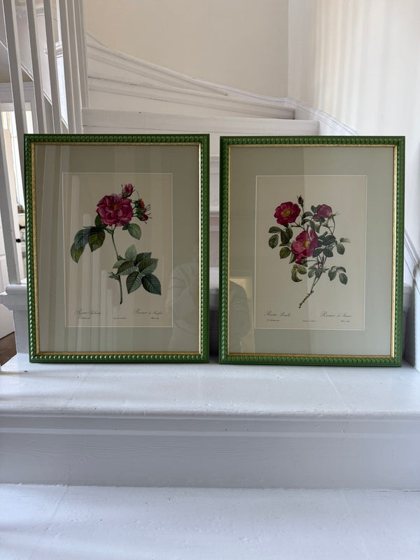 Two Redouté roses in Green Frames