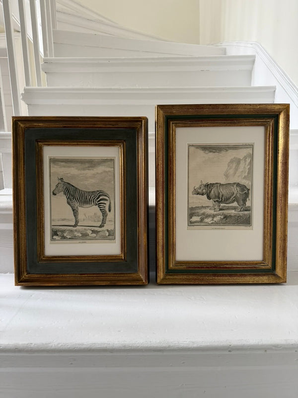 Zebra engraving in antique frame