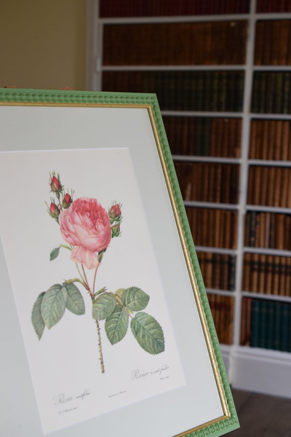 Four Redouté roses in Green Frames