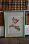 Four Redouté roses in Green Frames