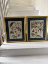 Large vintage botanical prints