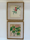 Pair of vintage Japanese paintings