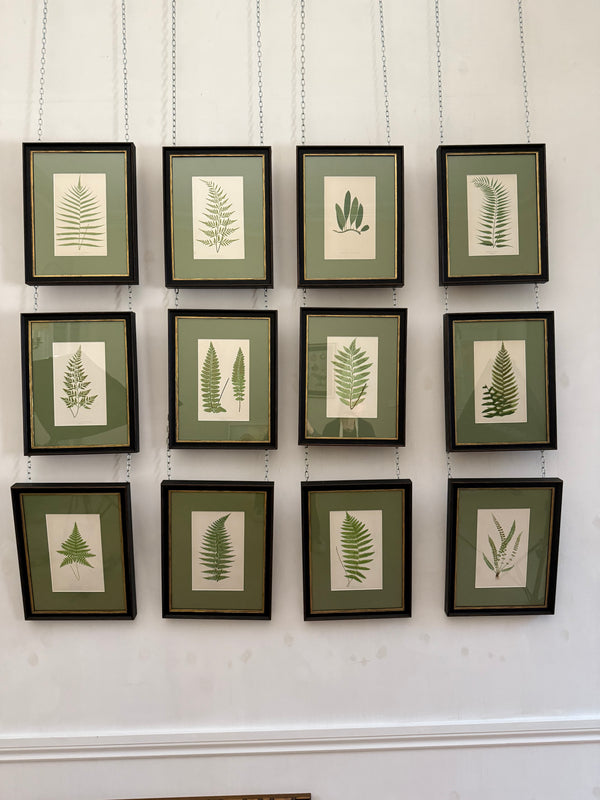 Vintage fern prints