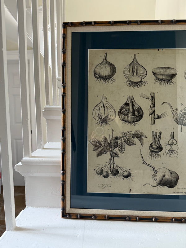 Dutch Classroom Illustrations