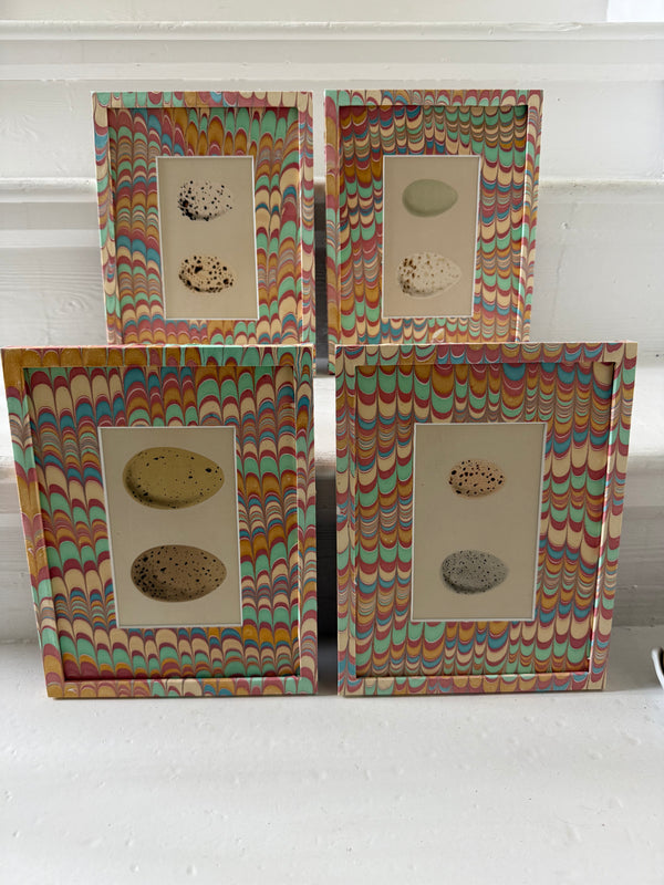 Antique egg prints framed in art paper frames