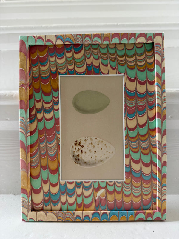 Antique egg prints framed in art paper frames