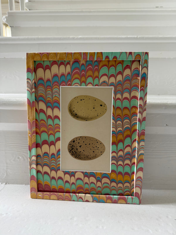 Antique egg prints framed in art paper frames