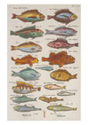 Sea Life III