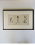 English botanical engravingfrom 1864