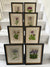 Antique Alpine flower prints