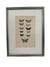 Nine engravings of moths by F. O. Morris, 1903