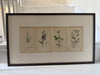 Engravings by James Sowerby