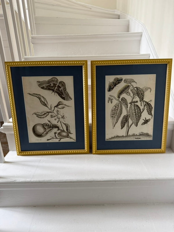 Large vintage botanical prints