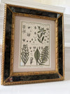 Pair of mirrored cushion-framed French botanical etchings