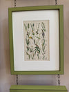 Nine Engravings from Nicholas Culpeper's Complete Herbal, 1900