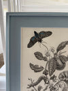 Pair of vintage French botanical prints