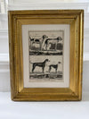 Engraving of hounds from 1830 in gilt frame