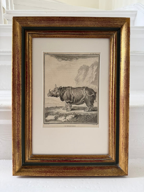 19th century French Rhinoceros engraving in an antique frame