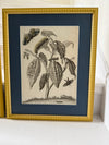 Large vintage botanical prints