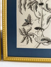 Large vintage botanical prints