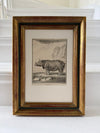 19th century French Rhinoceros engraving in an antique frame