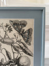 Pair of vintage French botanical prints