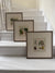 Three vibrant handcoloured 19th century botanical illustrations