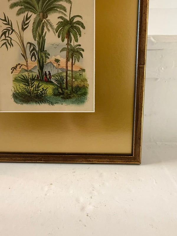 Peacock and palm tree