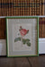 Four Redouté roses in Green Frames