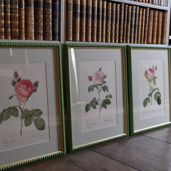 Four Redouté roses in Green Frames