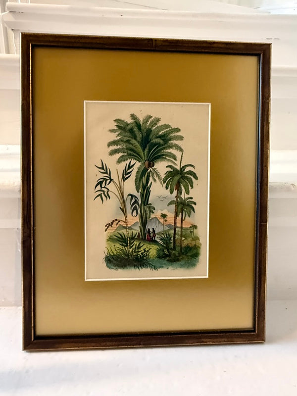 Peacock and palm tree