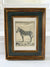 Zebra engraving in antique frame