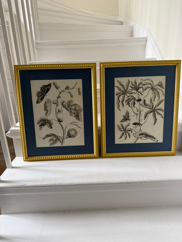Large vintage botanical prints