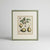 Four French botanical drawings of pears from the 1870s