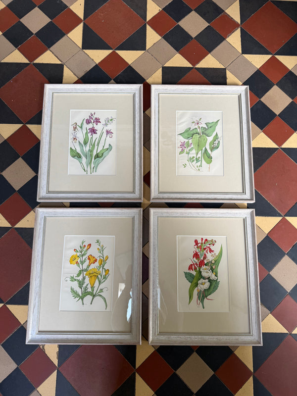 Antique wildflower prints