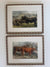 Four lithographs of Bavarian cows, 1853