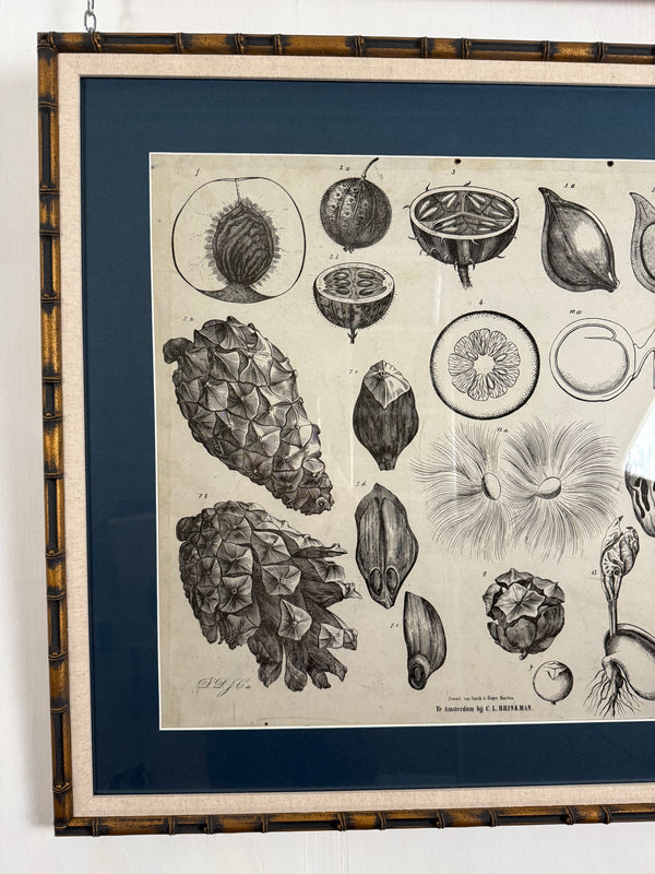 Dutch Classroom Illustrations