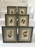 Six antique British bird prints