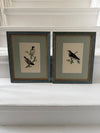 Six antique British bird prints