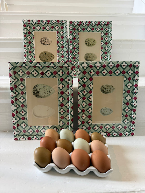 Antique egg prints in green/red art paper frames