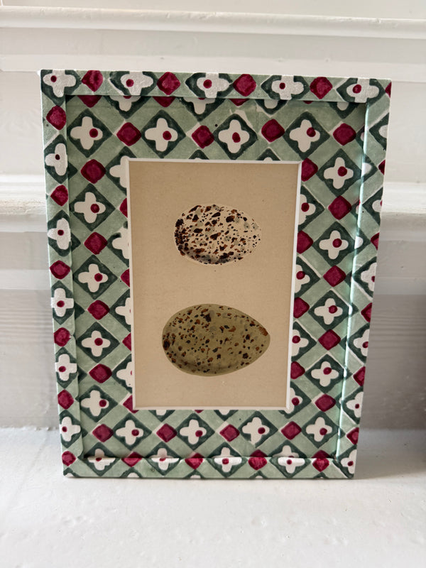 Antique egg prints in green/red art paper frames