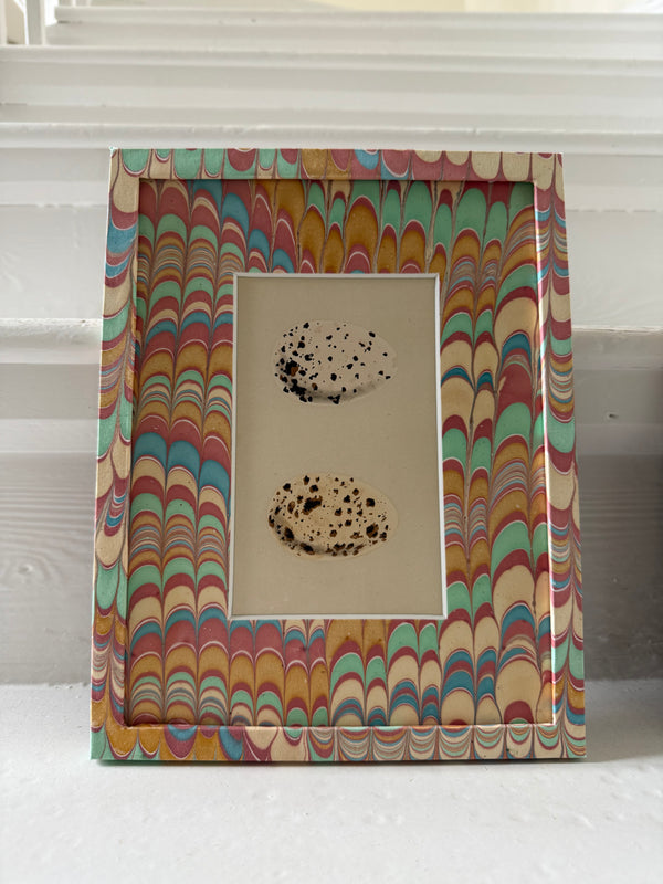 Antique egg prints framed in art paper frames