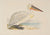 The Pelican and The Puffin