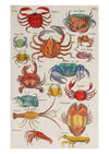 Sea Life I