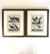 Black and white engravings of Guinea fowl and Pheasants